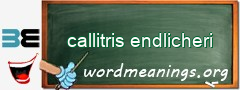 WordMeaning blackboard for callitris endlicheri